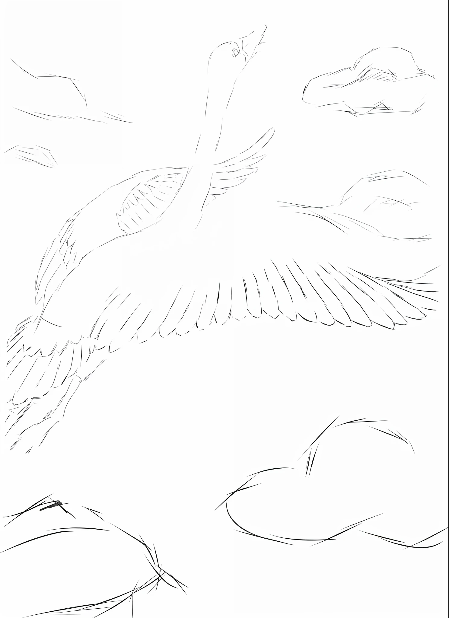 a drawing of a bird flying over a body of water, detailed but rough, outline sketch, accurately drawn details, dragon flying in the background, inspired by Sugimura Jihei, simple lineart, outline drawing, line sketch, clean anime outlines, rough sketch, with wings. ultra-detailed, japanese crane bird in center, smooth drawing, top down drawing