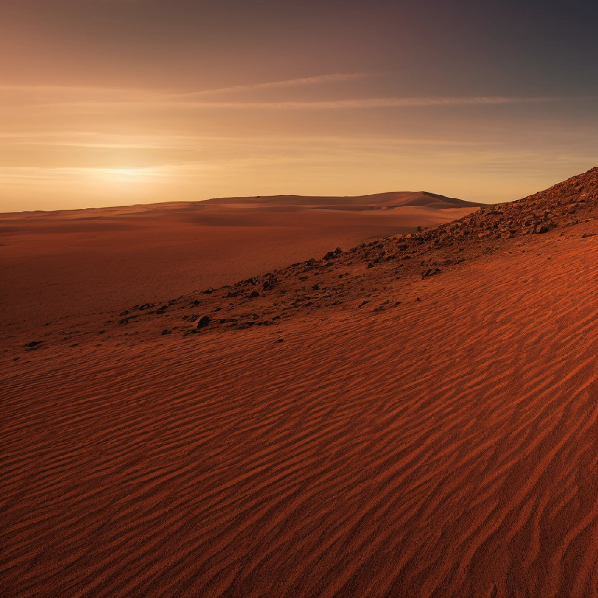 Elon Musk on Mars, in a desert setting with red sand dunes and Martian rocks all around, a dramatic sunset on the horizon, generating elongated shadows and highlighting the loneliness and vastness of the planet, Illustration, digital art --auto