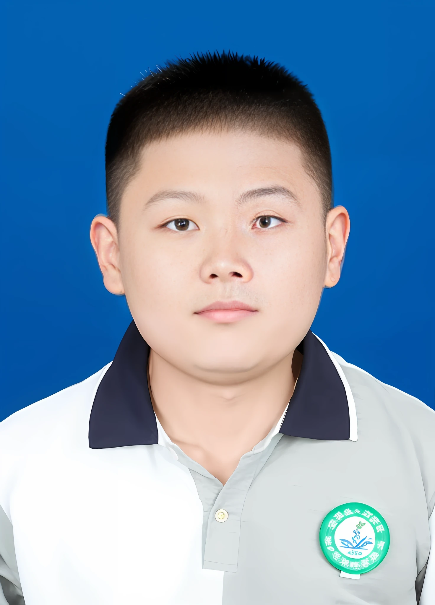 arafed boy in a grey and white shirt with a green badge, yanjun chengt, jinyiwei, yihao ren, xintong chen, yangjun chen, wenjun lin, xue han, mingchen shen, huifeng huang, pengzhen zhang, joongwon charles jeong, xiaofan zhang, qichao wang