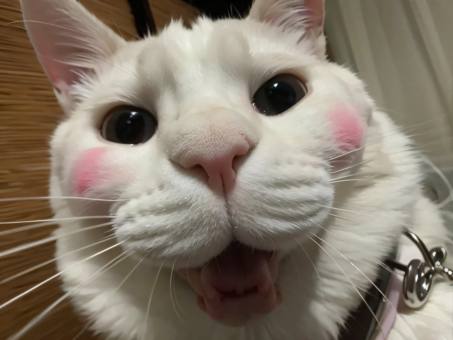 there is a white cat with pink spots on its face, a cat is smiling, cute silly face, she has a cute expressive face, tongue out, long pointy pink nose, full cheeks, the cat is smiling, pink nose, she has a cute face, funny cat, rosy cheeks, smileeeeeee, cat face, happy cat, a cute cat