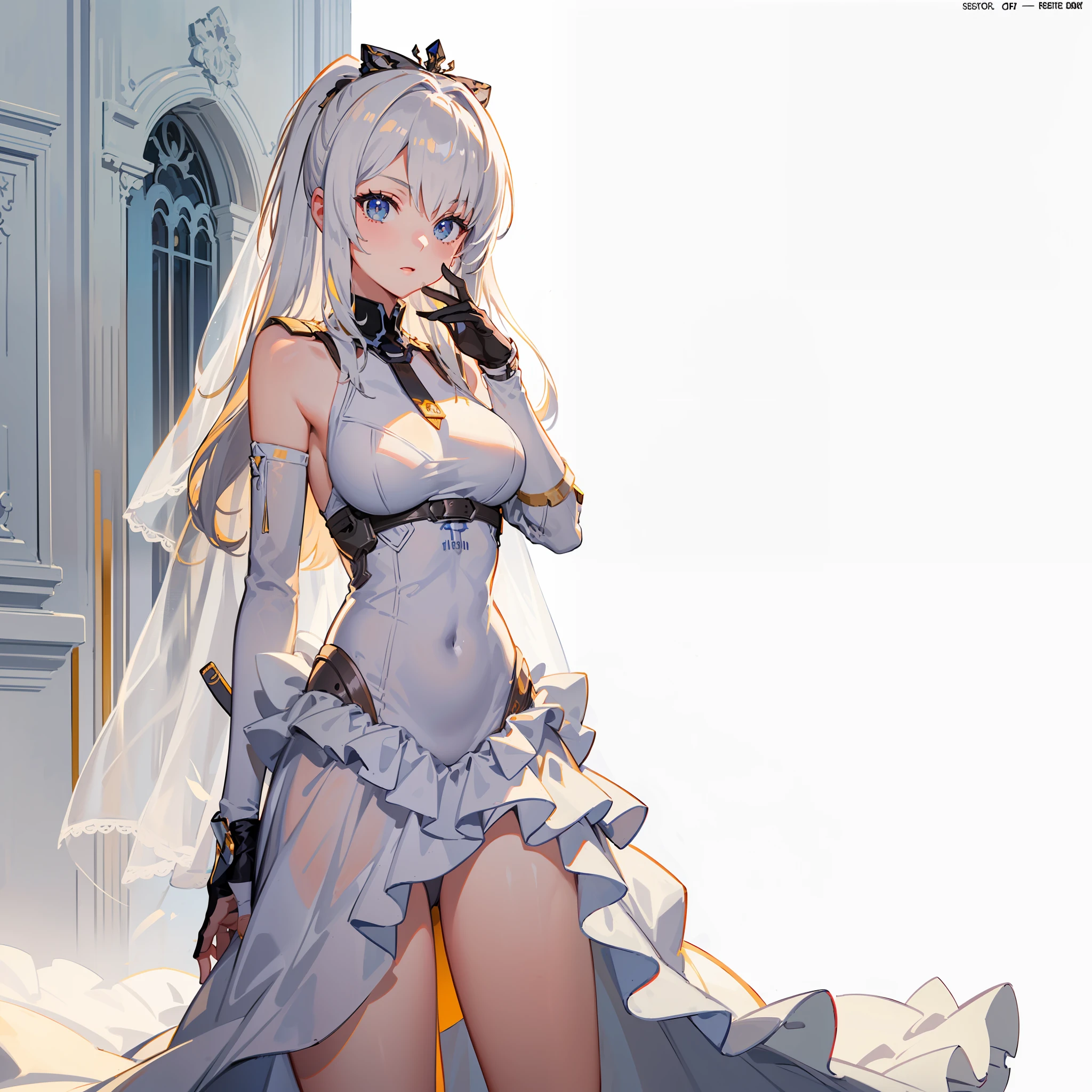 wedding vei,l(masterpiece), (best quality), (ultra-detailed),(((illustration))), ((an extremely delicate and beautiful)),(detailed light),(1girl:1.5),(solo:1.2),(prefect body),