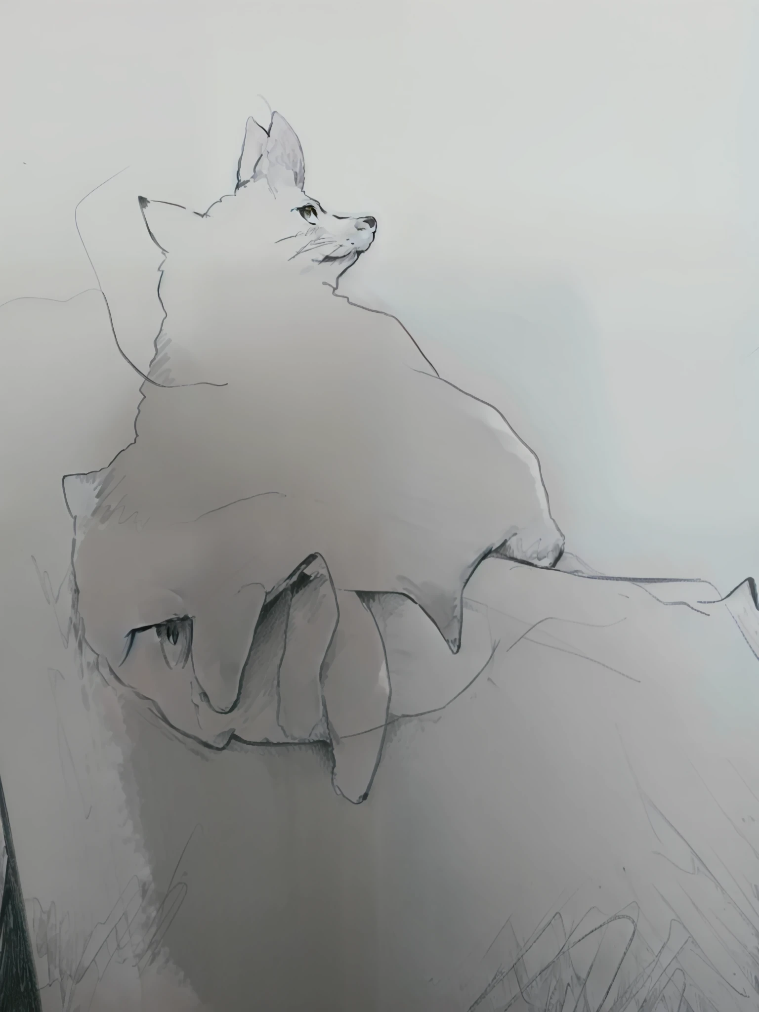 someone drawing a picture of a cat on a white board, outlined!!!, thick outline, one line drawing, drawn with a single line, thin line art, continuous line drawing, strong outline, one-line drawing, one - line drawing, outlined, outlined art, contour drawing, outlines, one line art, single line drawing, thin line work