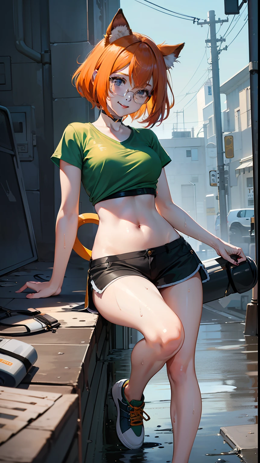 (anime style), ((masterpiece, best quality, highres)), realism, 1girl, mid breast, (jacket, crop top, jeans, choker, glasses), cute face, beautiful, braided hair, collar, glasses, glistening skin, wet skin, shy expression, outdoor, low angle, smiling ,
nsfw,(full body:1.3), long legs,miniskirt,