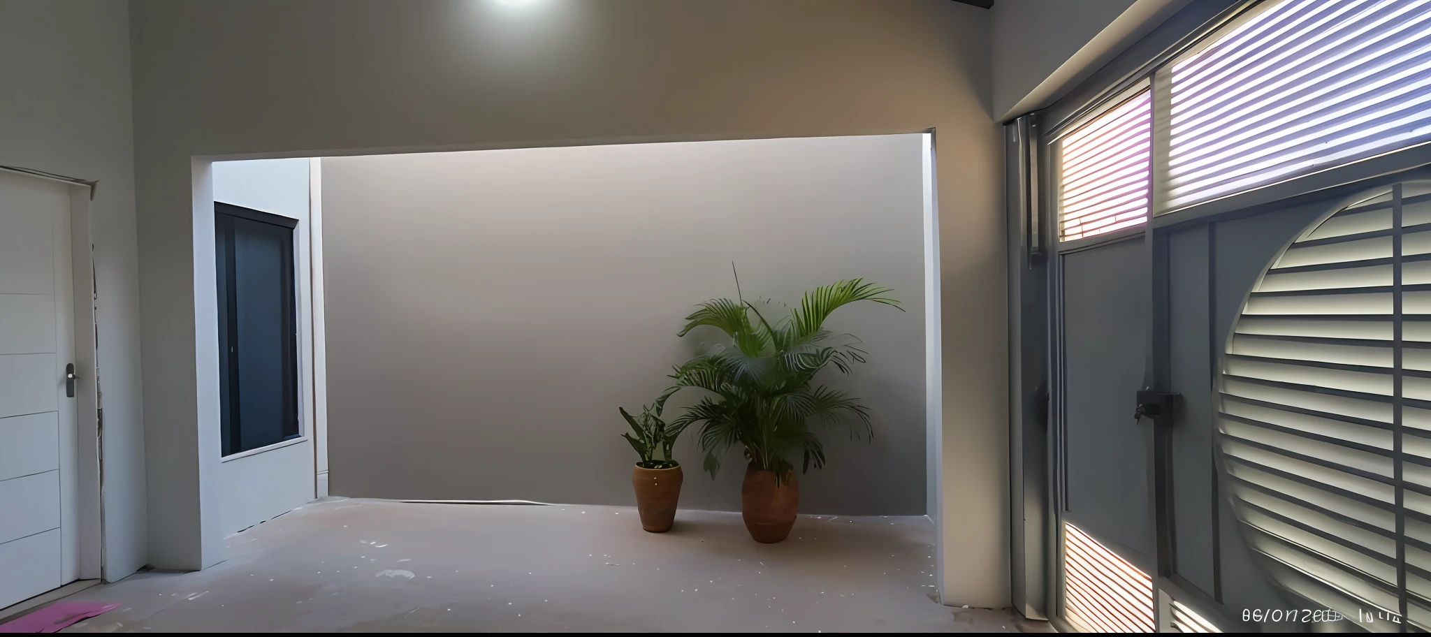 there is a plant in a pot in a room with a door, light coming from the entrance, large plants in the background, natural light outside, indoor picture, patio, bright daylight indoor photo, with potted palm trees, indoor setting, subtle atmospheric lighting, with backdrop of natural light, very besautiful ambient light, dark grey backdrop studio