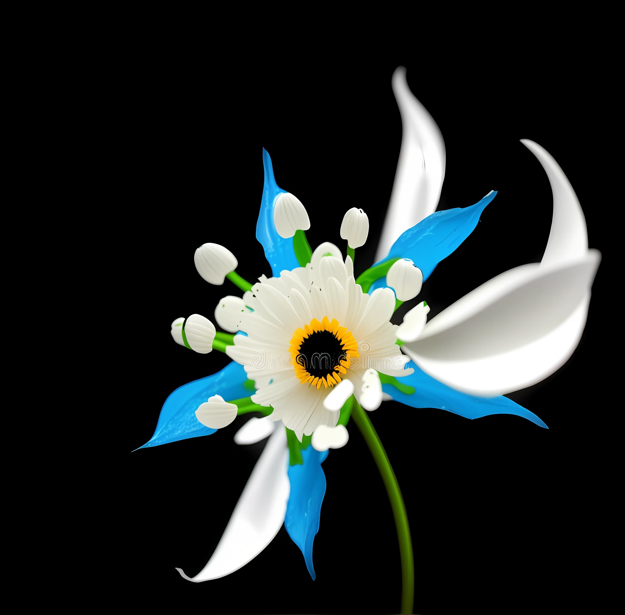 there is a white flower with yellow stamens on a black background, stella alpina flower, white flower, on black background, on a black background, glowing delicate flower, flower, white petal, depicting a flower, anemone, glowing veins of white, flower head, flowercore, with a black background, rendered illustration, giant white daisy flower as head, beautiful flower