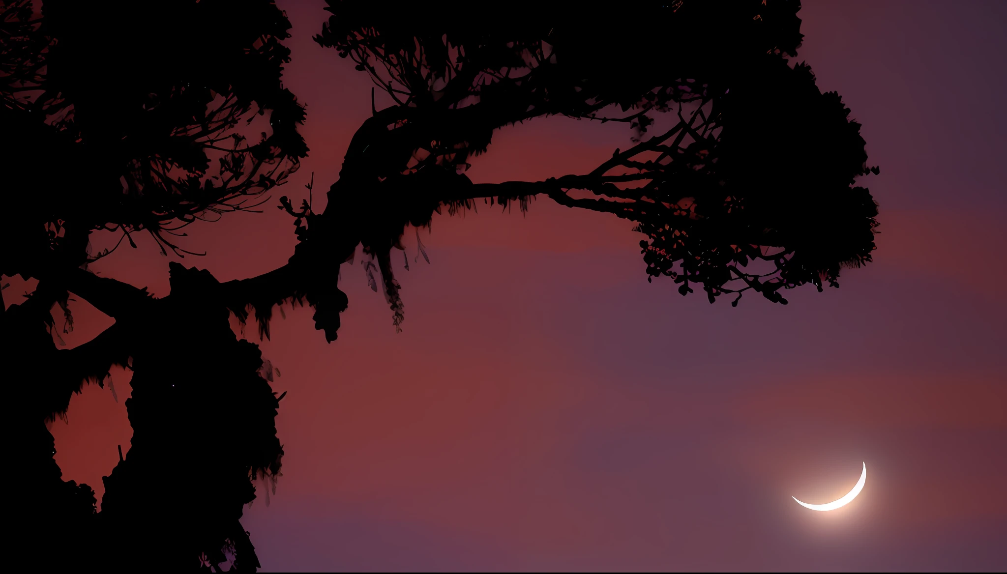 there is a crescent that is in the sky with a tree, moonlit purple sky, crescent moon in background, pink moon, forest and moon, photo taken at night, moonlight through the trees, reflection of the moon, moonlight through trees, moonlit nightscape, giant pink full moon, moonlit sky, dramatic moonlit lighting, blood red cresent moon