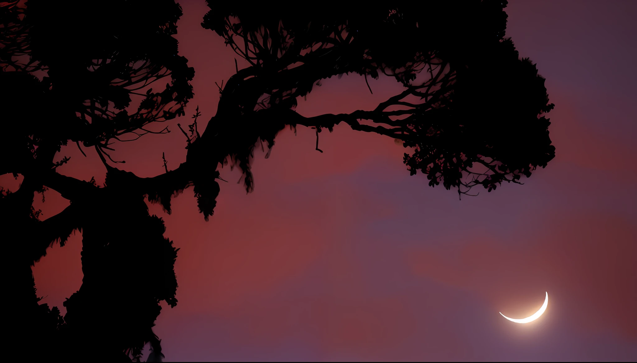 there is a crescent that is in the sky with a tree, moonlit purple sky, crescent moon in background, pink moon, forest and moon, photo taken at night, moonlight through the trees, reflection of the moon, moonlight through trees, moonlit nightscape, giant pink full moon, moonlit sky, dramatic moonlit lighting, blood red cresent moon