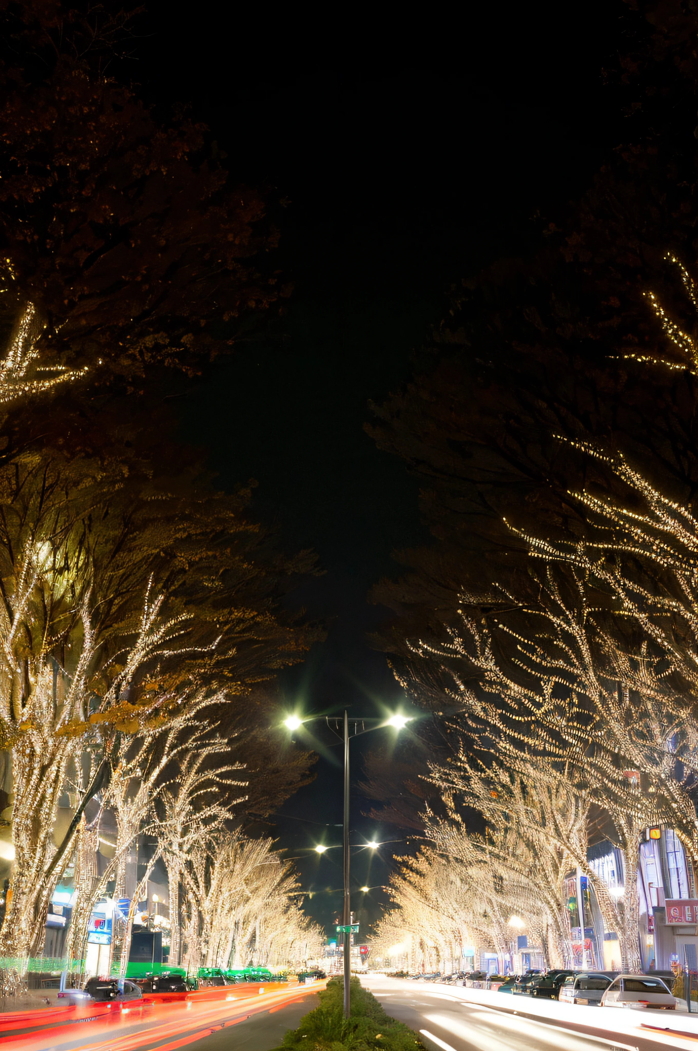 A tree lit with white light々lined the streets at night, local illumination, taken with sigma 2 0 mm f 1. 4, with glowing lights at night, lush tress made of city lights, low angle wide shot, low angle photo, captured with sony a3 camera, Lush trees々City lights made of, beautiful illumination, lights in the night, lots of lights