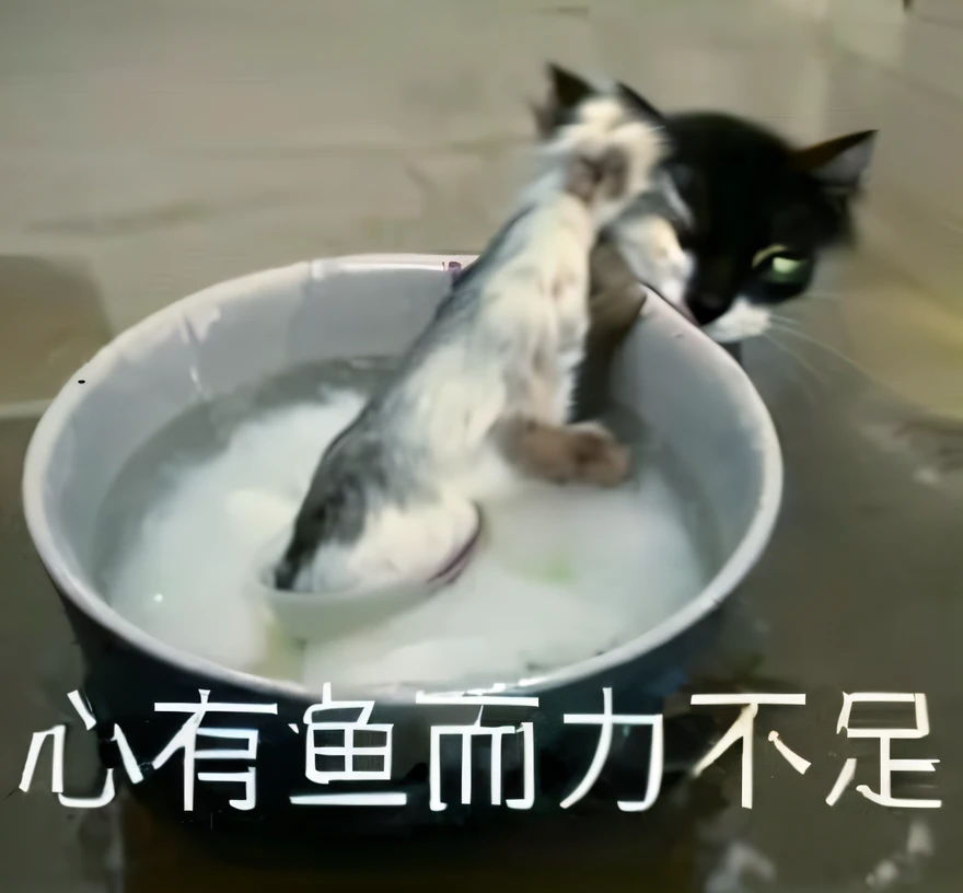 The Aravi cat sits in a bowl of water,There is a fish inside, a cat swimming in water, fish in the background, Wang Chen, the cat cooks soup, leaked footage, cat drinking milk, real-life tom and jerry, cat eating, Red Dieter meme, liquid cat, very calm and wholesome, ninja cat, r/awww --auto