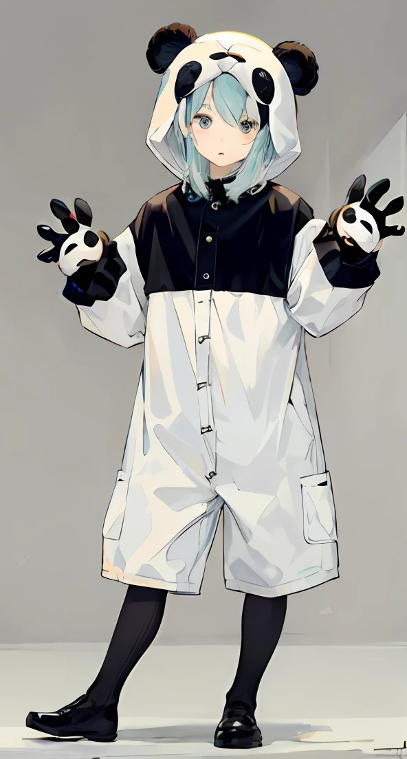 Stuffed hands、Wearing a panda costume、Panda Costume、Animal Suits