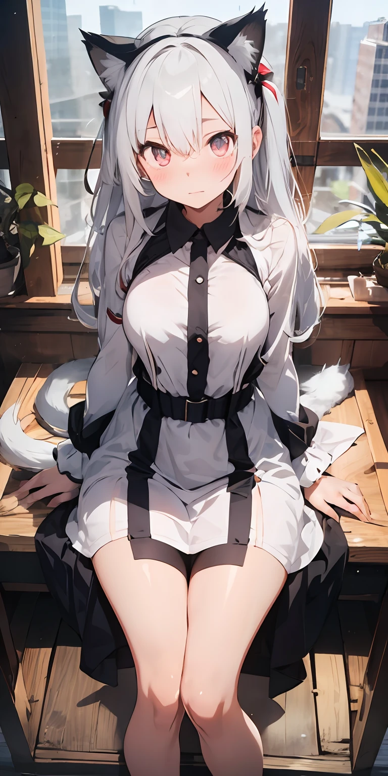 Anime girl with white hair and cat ears, ruby eyes, shy, blush, medium breast, bare legs, dress, high contrast, soft light, master piece, extraordinary nice