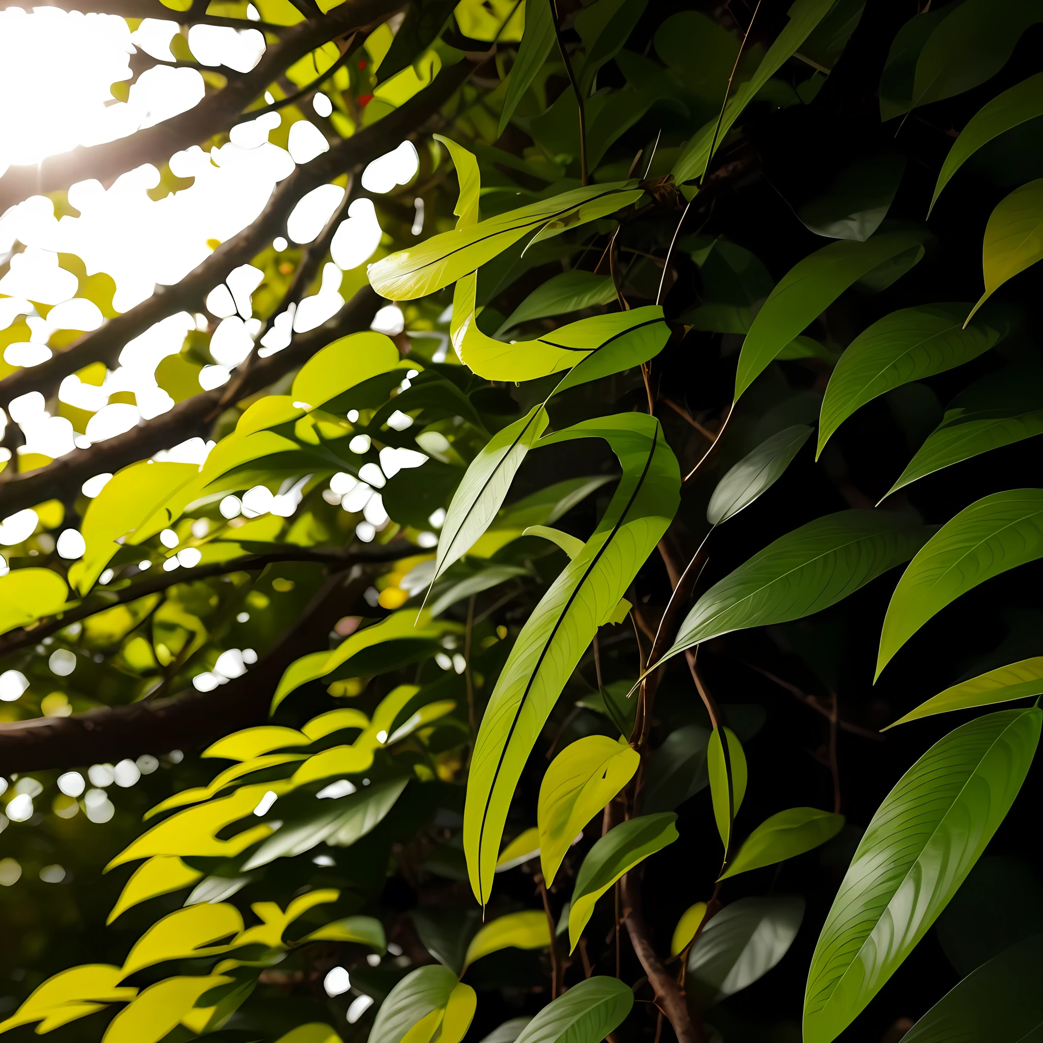 there is a plant that is growing out of a branch, Nature wallpaper, vertical wallpaper, Wallpaper phone, wallpaper mobile, leaves and magic, 4k vertical wallpaper, 4k vertical wallpaper, hd nature photography, abstract nature, rays of life, plant sap, beautiful wallpaper, wallpaper hd, high-quality wallpaper, magical leafs falling, harmony of nature, anime nature wallpap