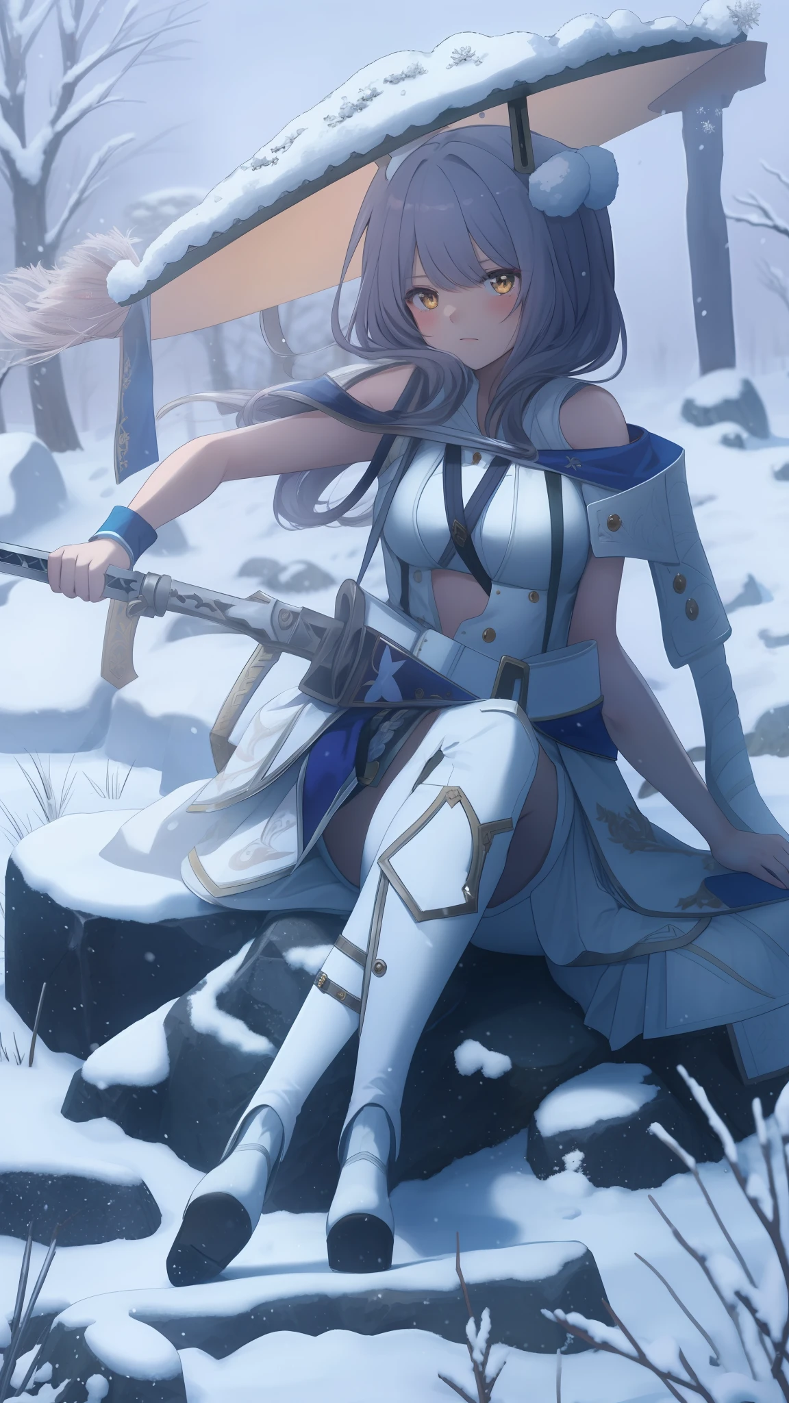 Maiden sitting on a rock，Hold the hilt of the sword pinned behind your back with your backhand，backhand，The hilt of the sword blocks the palm，Hold the hilt of the sword in your hand，The arm muscles are clear，Conforms to anatomy，Sit with your feet up，The background is wind and snow，moor，There are rocks，Wear a big hat on your head，The girl's expression was empty，Gaze from afar，Amber pupils，Very melancholy feeling，The snow in the snow stopped，overcast weather，The picture is clear，The details are clear