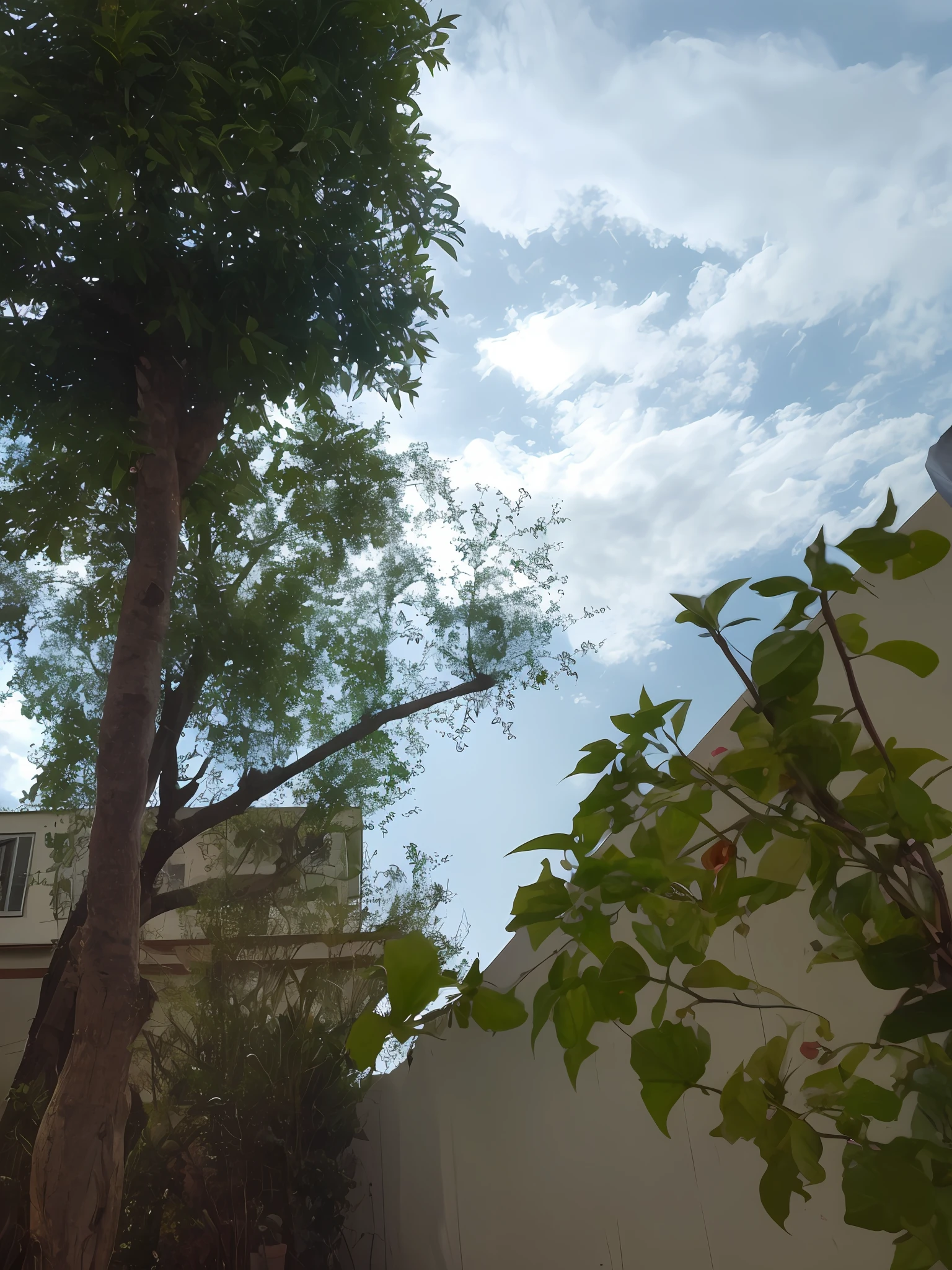 there is a tree that is growing in the yard next to a building, taken with a canon dslr camera, trees outside, captured with sony a3 camera, trees in background, taken with the best dlsr camera, shot on nikon d 3 2 0 0, tree and plants, with trees, photo taken with sony a7r camera