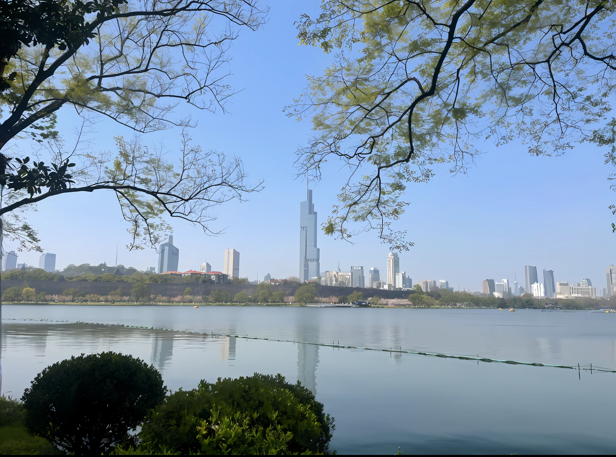 Trees and bushes in front of the lake,The background is the city, skyscrapers in the distance, on a park,lakeside, perfect spring day with, with tall glass skyscrapers, skyline in the distance, viewed from far away, Lake in the background, Building in the distance, urban view in the distance, nanking