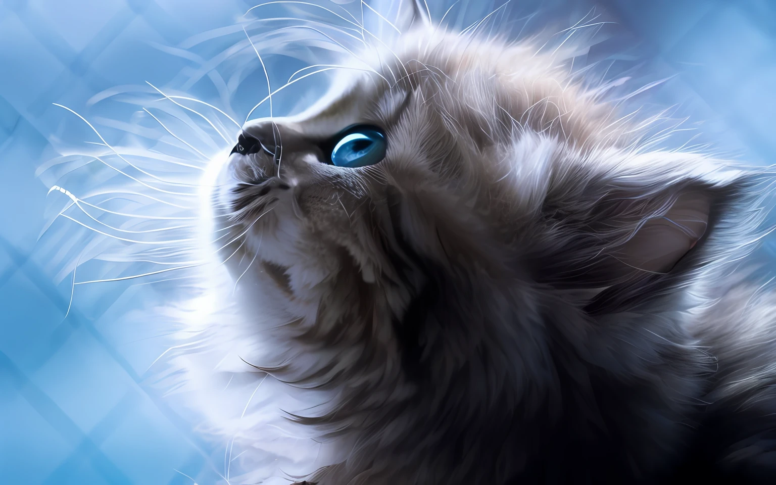 there is a cat that is looking up at something, beautiful blue glowing eyes, Whiskers, Glowing blue eyes, Sky blue eyes, sparkling blue eyes, captivating blue eyes, up looking, Clear blue eyes, with blue fur and blue eyes, dream animal cute eyes, Blue glowing eyes, portrait of a kitten, blue shining eyes, beautiful blue - eyes, awesome cat