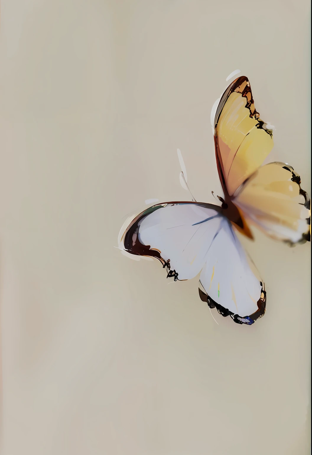 Hand drawn butterflies