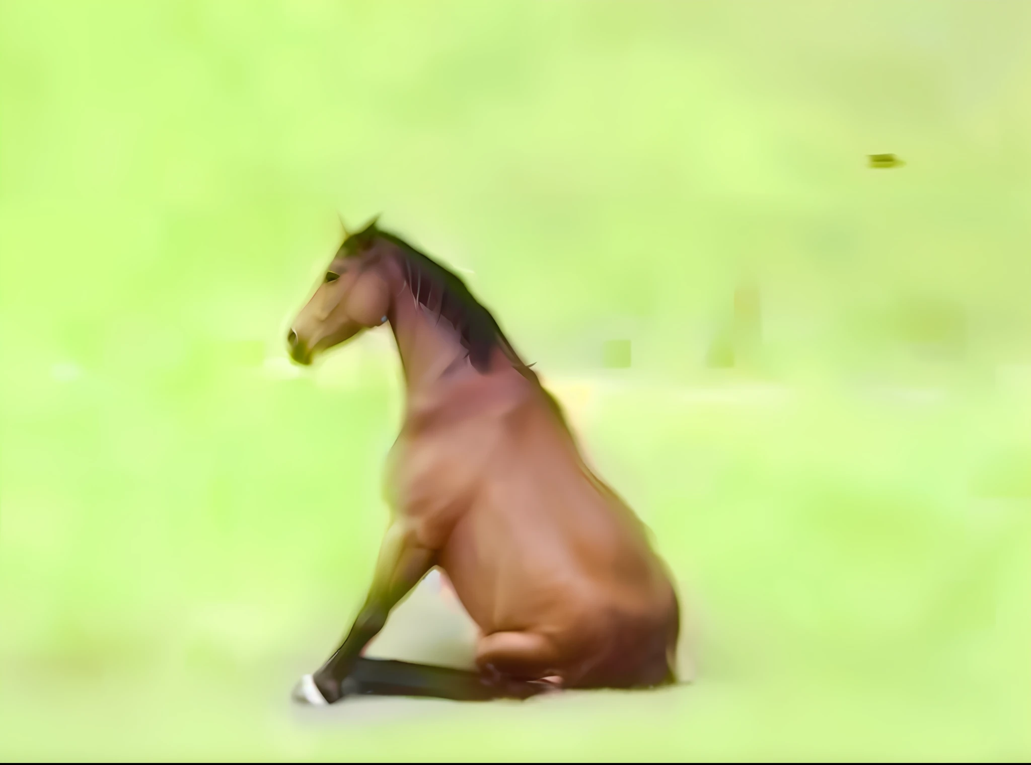 There was a horse sitting on the ground in the meadow