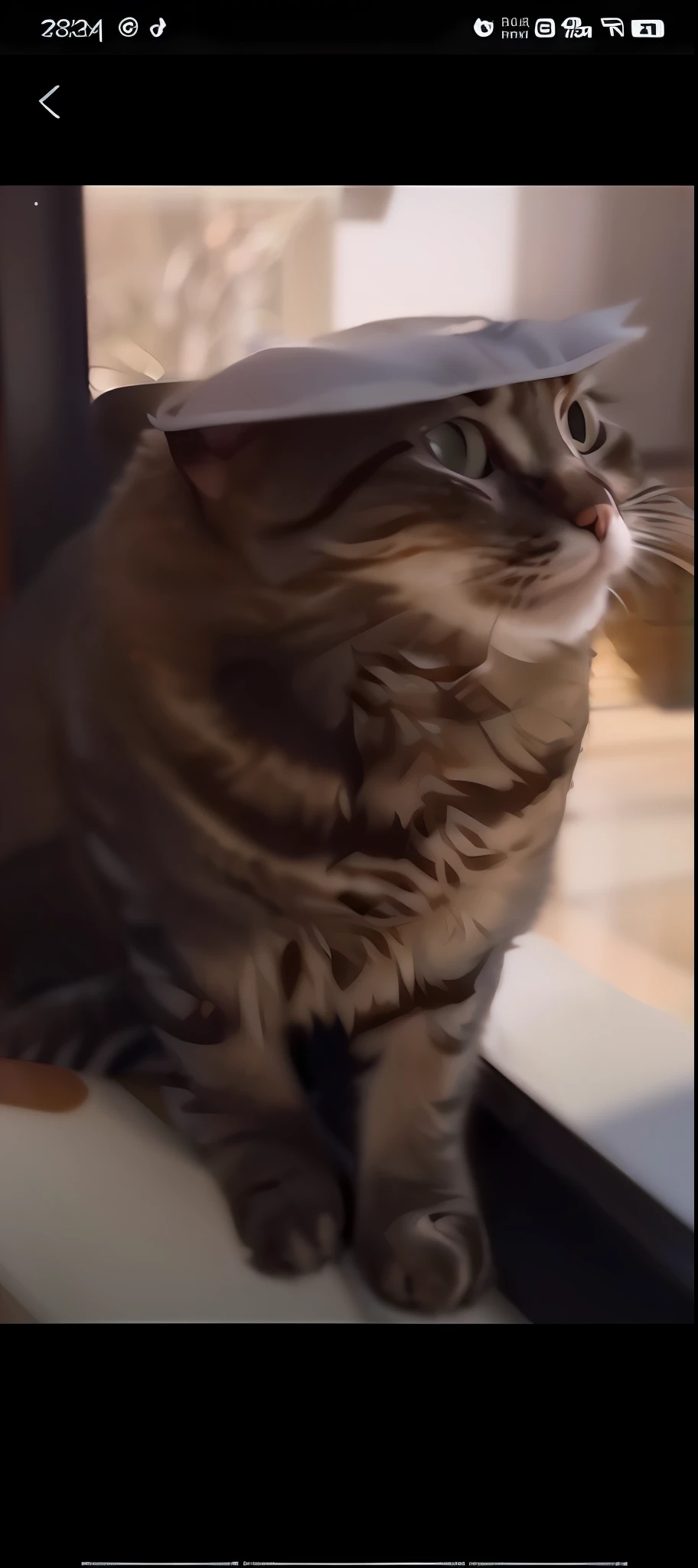 there is a cat that is sitting on a window sill, chonker cat, a cat is smiling, showing his paws to viewer, angry cat, the cat is smiling, funny cat, look straight at the camera, cat on the table in front of her, cat on the table, awesome cat, fat cat on desk, She is facing the camera