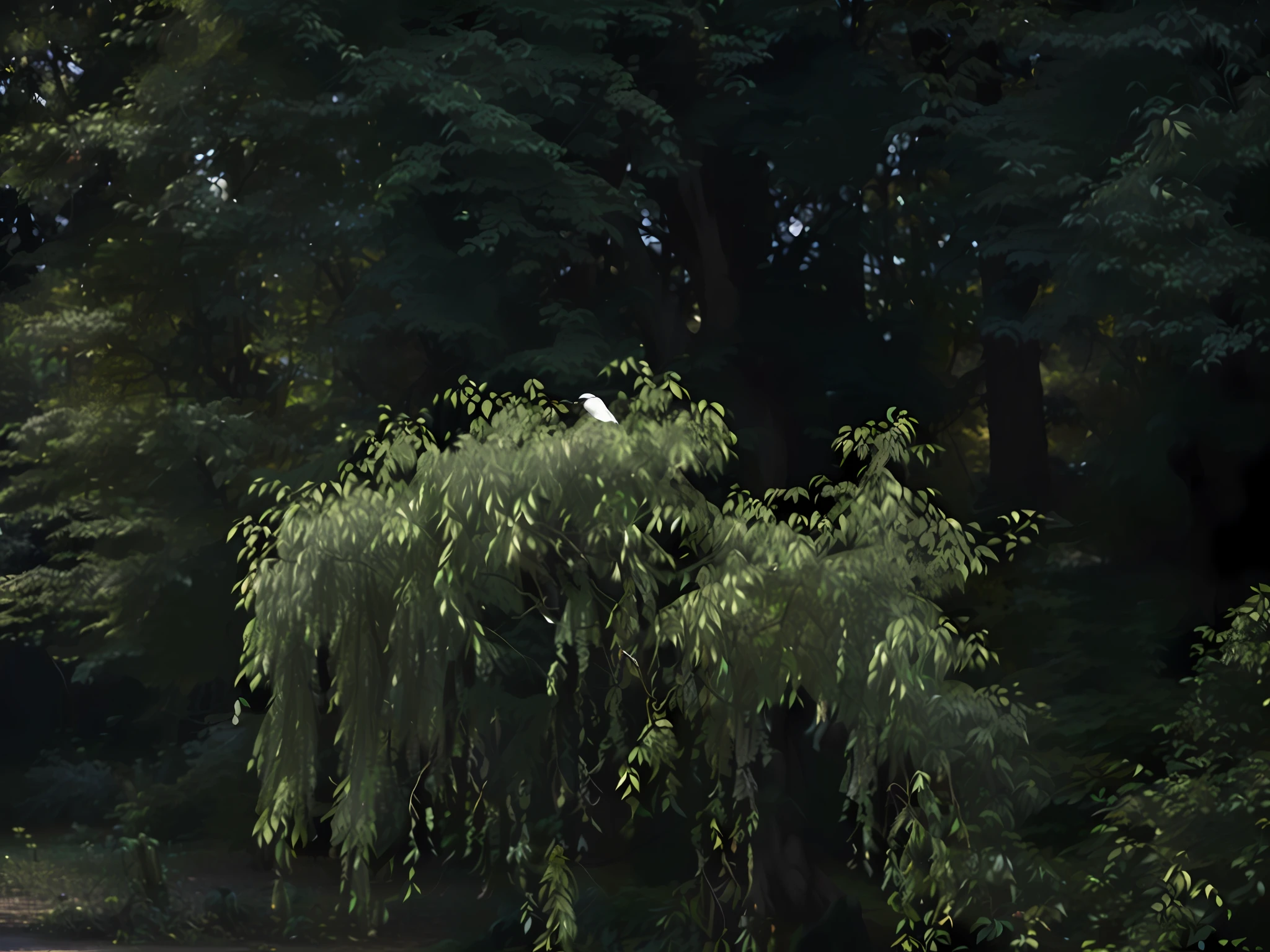 On a branch in the middle of the pond sits a white bird, perched in a tree, Zoom-out shot, hegre, Sit on a tree, trees in background, Sitting on a tree, on trees, with a tree in the background, on trees, evening at dusk, on a branch, Branches sprouted from her head