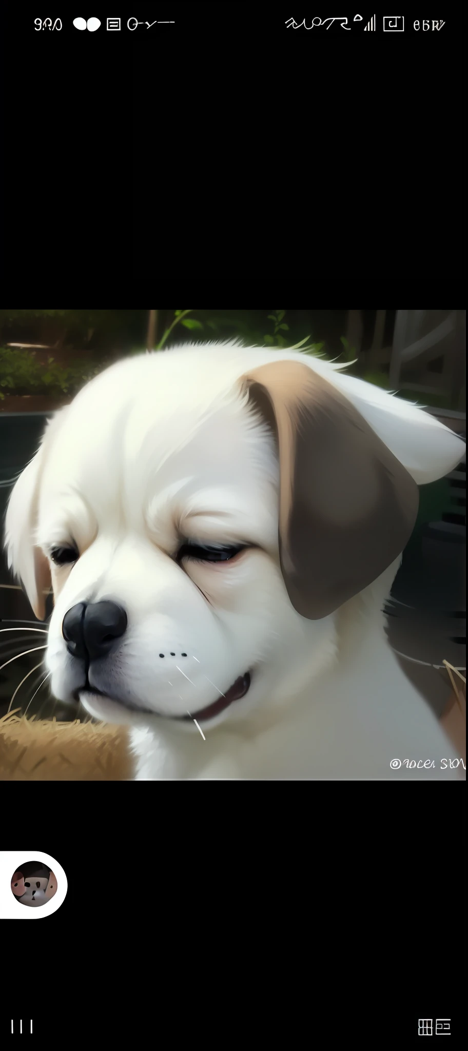 There was a dog sitting in the basket, crying eyes closed!, Cute dog, he has a devastated expression, ( dog ) looks like elephant, winking one eye, Sleepy expression, with a sad expression, awww, beautiful dog head, with cute doting eyes, cute round slanted eyes, dog looks like elephant, cute beagle