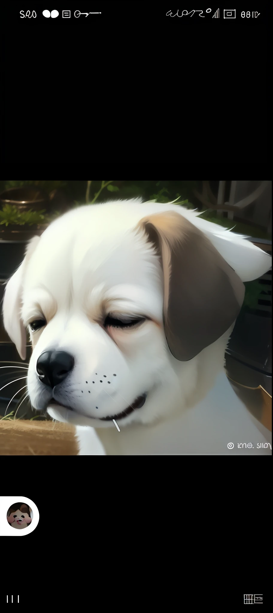 There was a dog sitting in the basket, crying eyes closed!, Cute dog, he has a devastated expression, ( dog ) looks like elephant, winking one eye, Sleepy expression, with a sad expression, awww, beautiful dog head, with cute doting eyes, cute round slanted eyes, dog looks like elephant, cute beagle