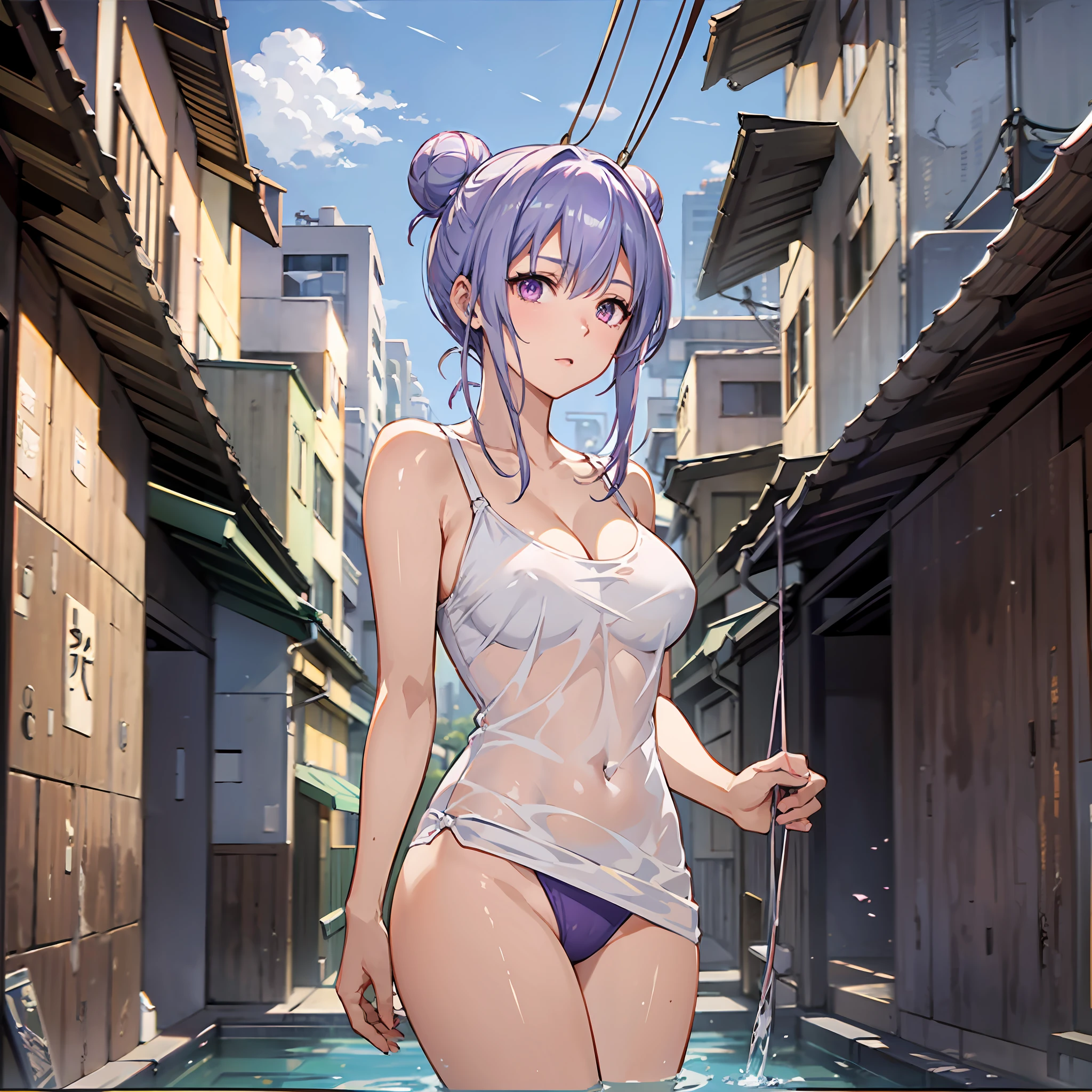 Milf, Two people, Portrait, 40years old, happy face, Japanese, Skinny, view from bottom, On the swing, bathing suit, Transparent clothes, purple hair, white colored hair, hair bun, messy hair, straight hair, suntanned skin, oiled skin, Dark fair skin, big breasts, Busty thighs, jail, Foggy, cinematiclight, (style of makoto shinkai), the anime