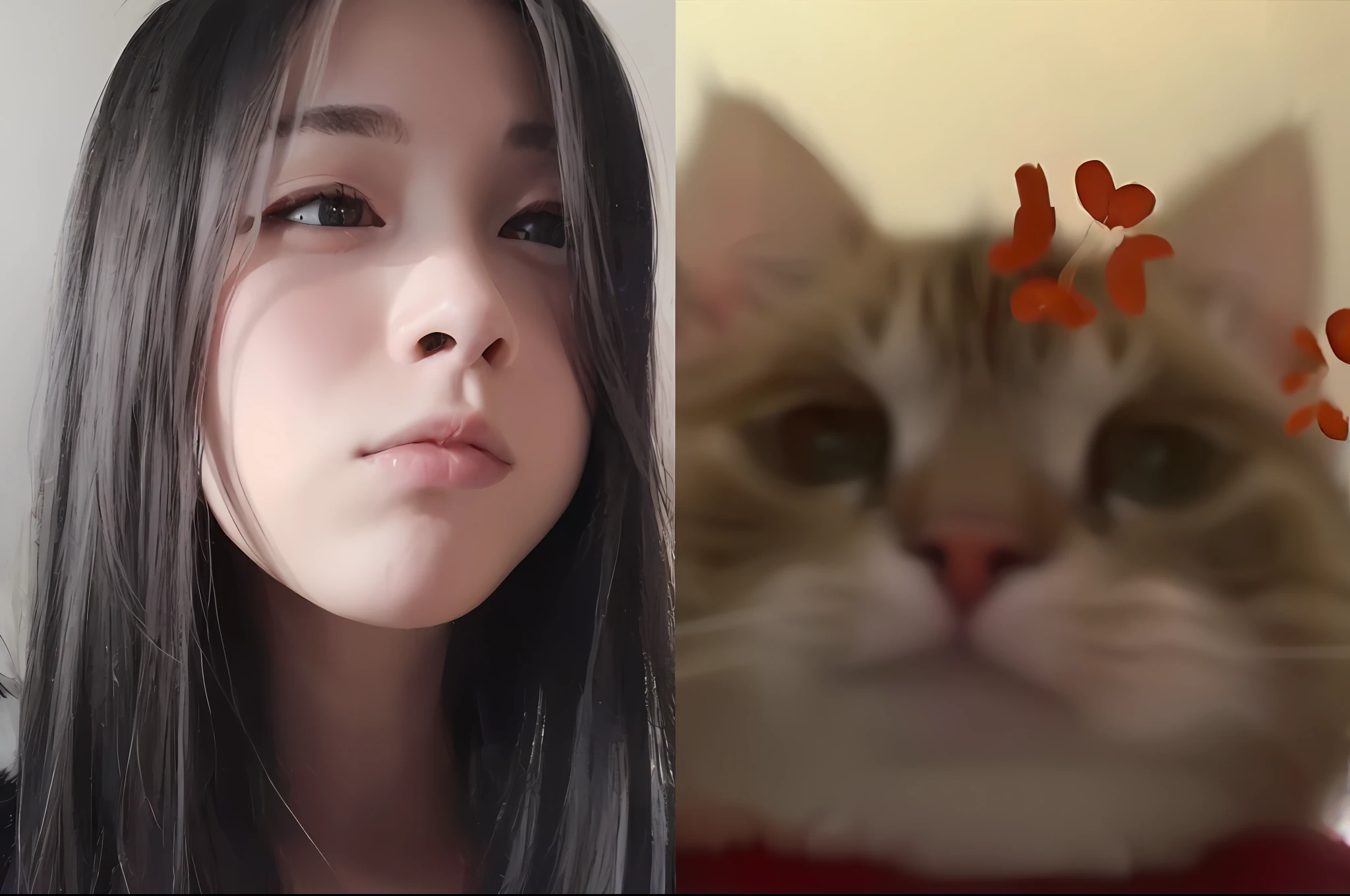 4k，Super HD，detail in face，Close up of a long-haired woman and a cat, there is a cat next to her, Very nice and cute cat, blackpink jennie, She has a cute face, , she has a cute expressive face, with small nose, woman / cat hybrid, 19-year-old girl,