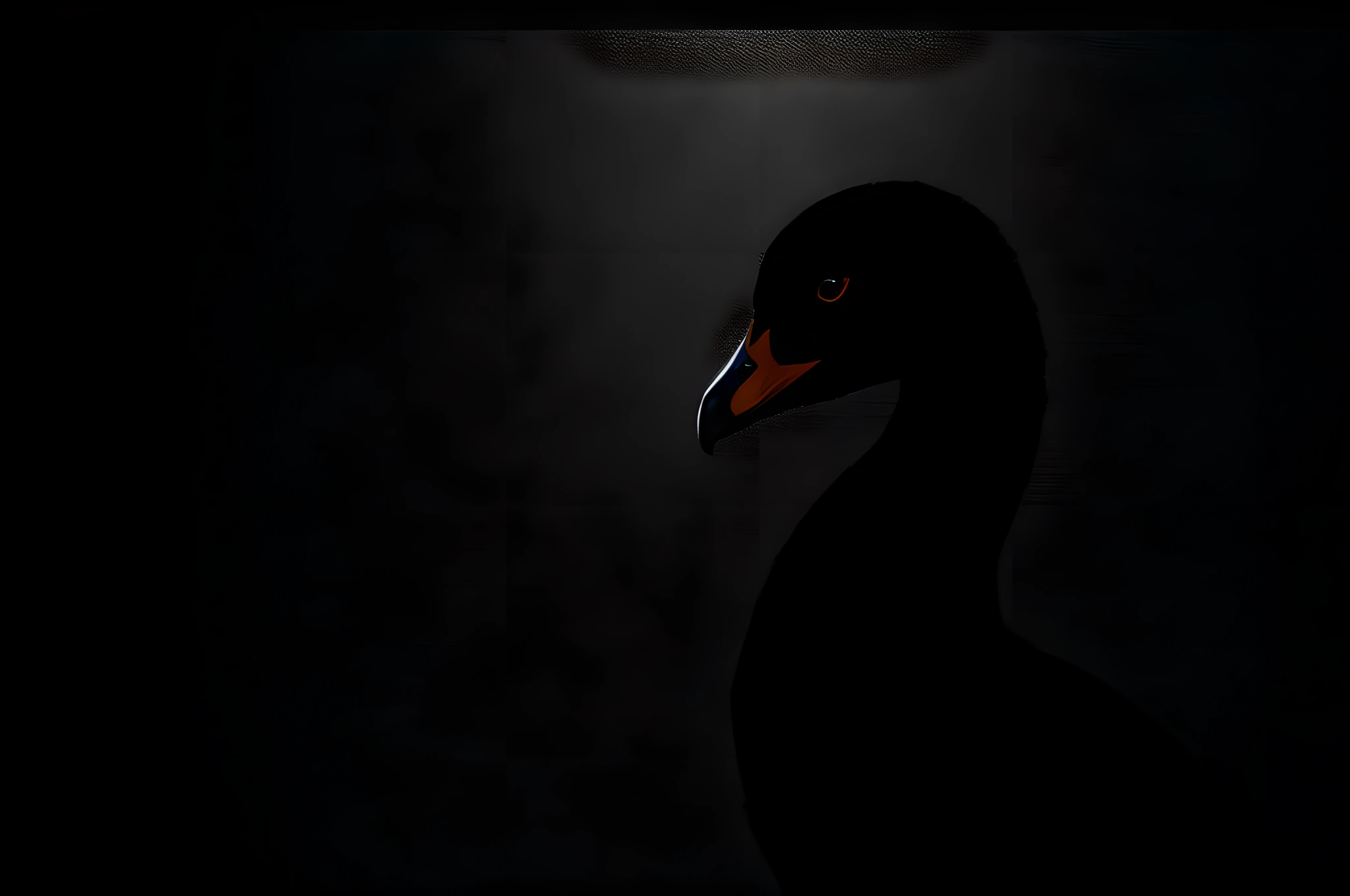 a black swan, front view, cinematic image, solid black background