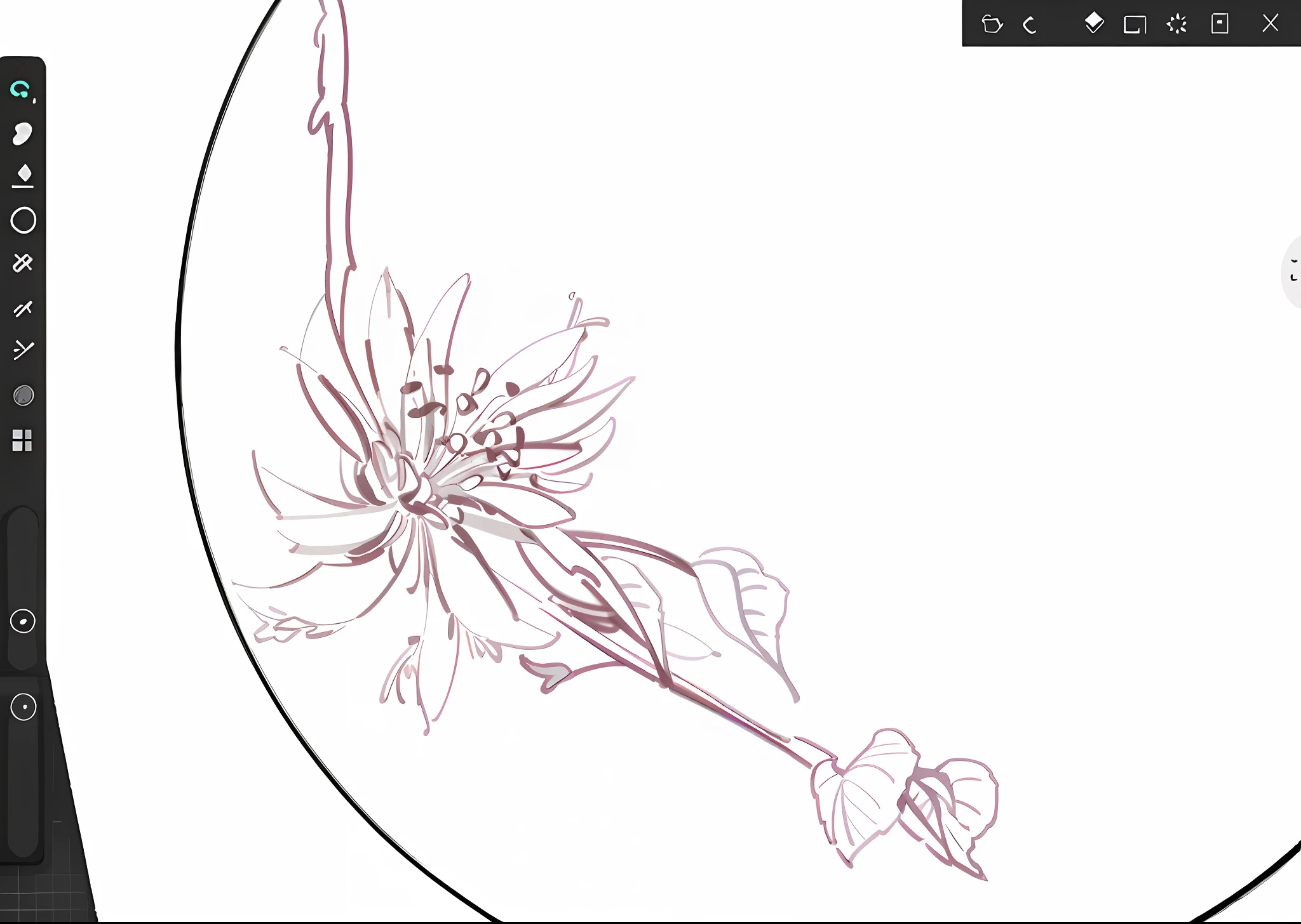 Close up of flower drawing on white background, digitally draw on wacom tablet, accurately drawn details, Digital drawing, drawn with photoshop, depicting a flower, detailed digital drawing, highly detailed linework, detailed linework, digital 2d drawing, outlined art, delicate and precise brushwork, Outline sketch, perfectly detailed linework