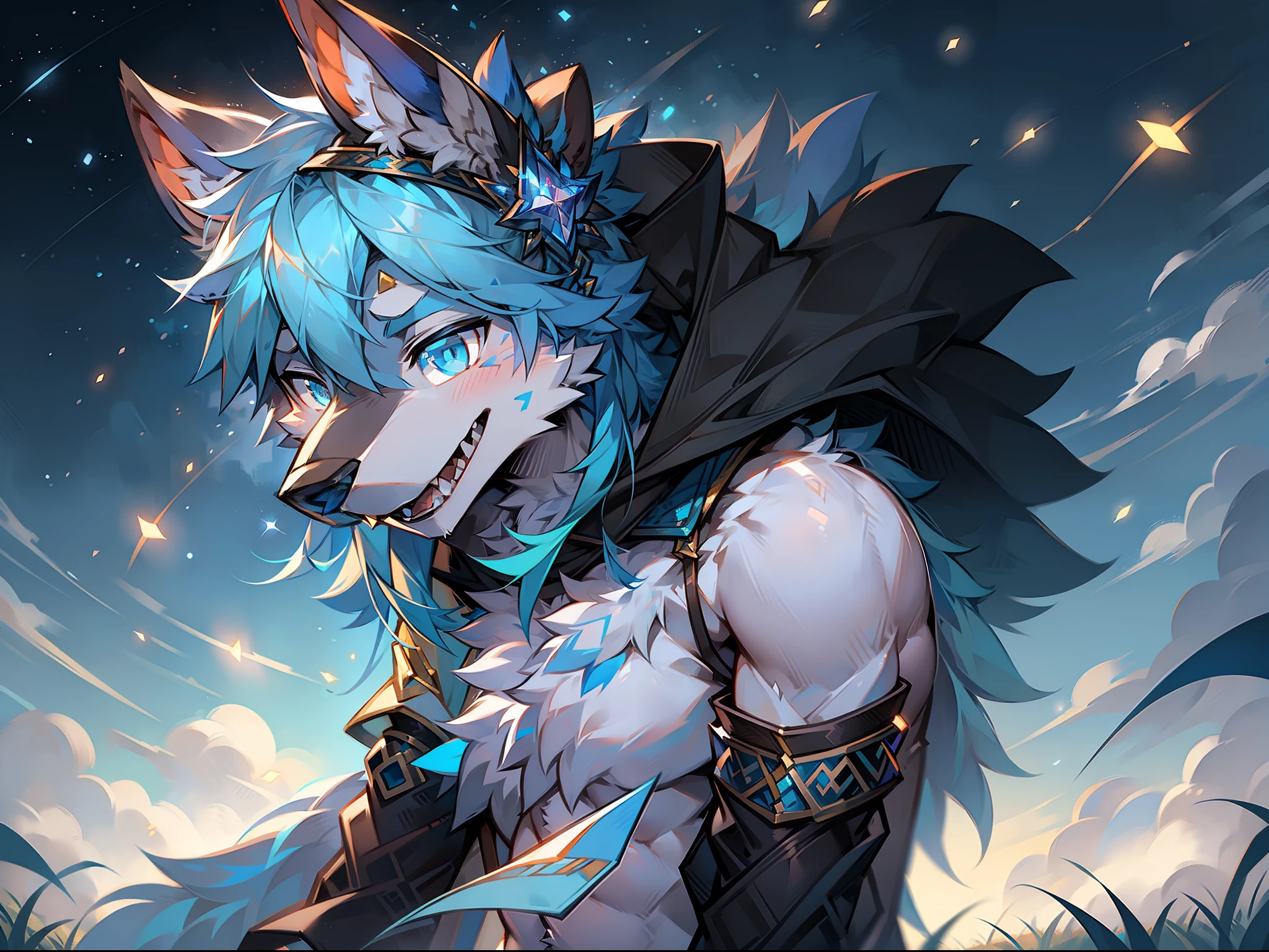 solo person,Wolf head,Wolf tail,male people,musculature,sexy
Light blue ears,blue hairs,White belly,Sky blue pupils,There is fur on the arms,There is fur on the legs,The whole body is covered with fur,being in the grassland,Behind it is a starry sky,Cloaked,Fireflies all around,Melee Mage,sideface