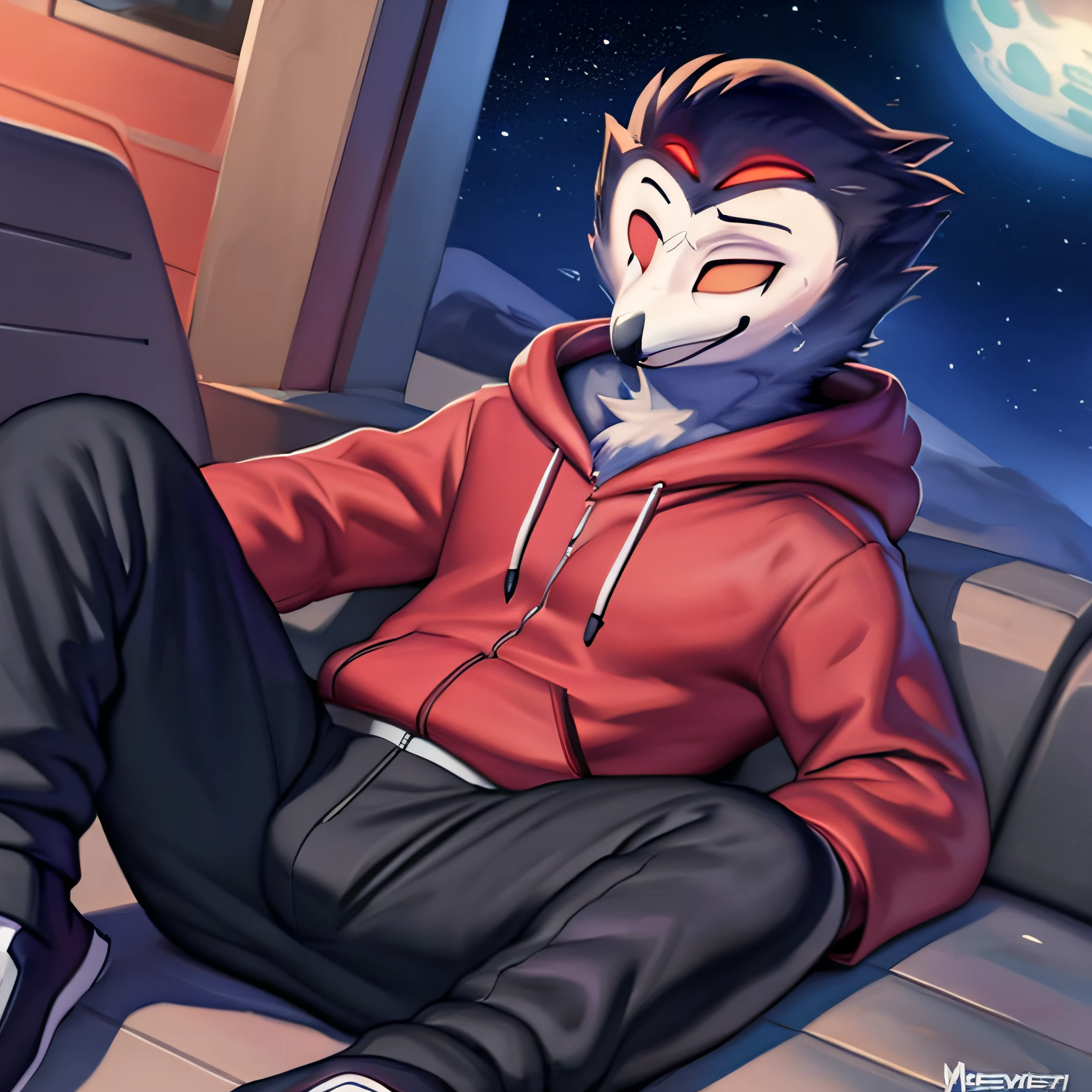 by zackary911, by chunie, (by meesh:1.2), by kiyosan, by sigma, ((masterpiece)), ((8k quality)), (no watermark),  stolas, male, laying down looking up, outside detailed background, (solo:1.4), clothing, hoodie, sweatpants, Night, Looking at the stars,