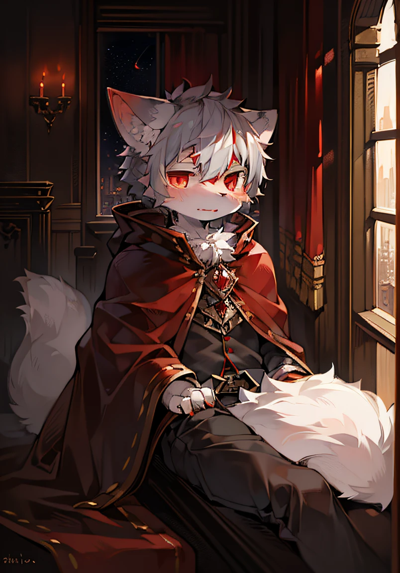 (dark environment:0.8),masterpiece, high quality, absurd res, digital painting \(artwork\), by dagasi, yupa,kiyosan,(anthro,fluffy fur,character focus:1.1),anthro male cat,short hair,portrait, bright eyes,panorama,character focus.(detailed background:0.7),solo,furry,furry male ,male focus,anthr,(Full body fur, fluffy tail, white fur,red eyes,gray hair:1.2),(long canines,vampire, cape:1.2),(interior,night, castle, coffin:1.1)