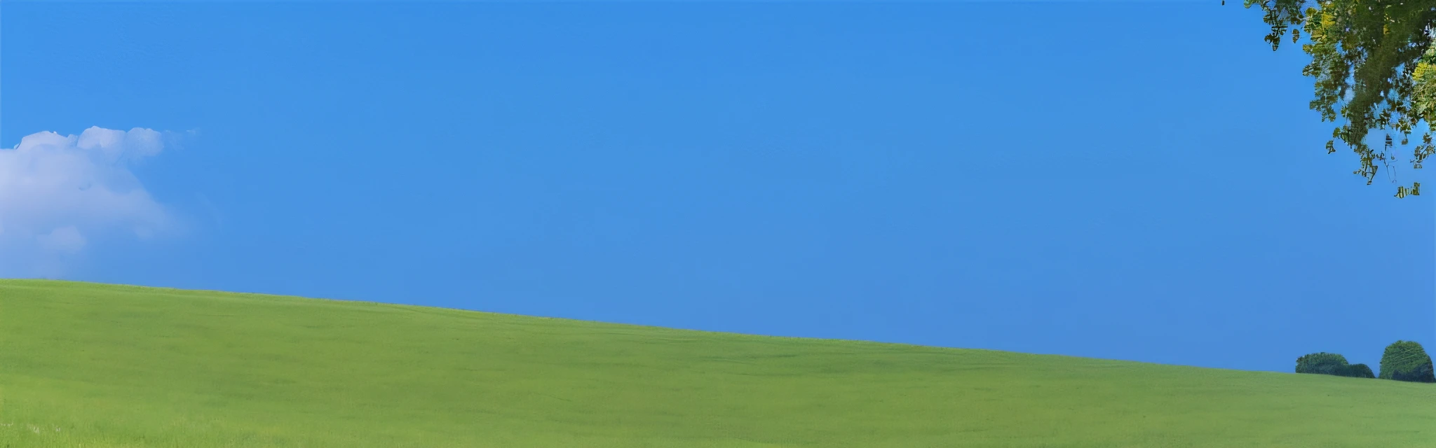 In the background are the sky, windows xp background, blue sky and green grassland, grassy hill, windows xp, windows xp bliss wallpaper, rolling green hills, grassy hill, in a large grassy green field, Rolling hills, on a green hill, windows xp wallpaper, cloudless blue sky, Clean blue sky, grassy fields，High-precision image quality，4k