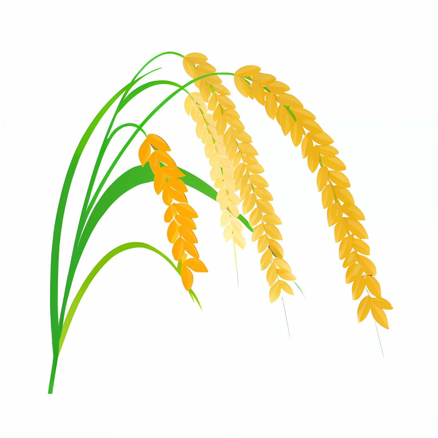 Two wheat stalks on a white background, photorealestic,high grain, Powerful particles, rice, Ultra-detailed realistic illustration, drawn image, without text, Without background, Harvest, white bg, heavy grain high quality, high detail illustration, Linear illustration, highlydetailedillustrations, nachos, finely detailed illustration