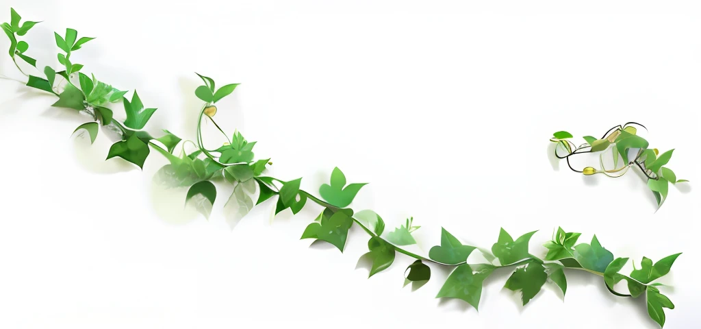 There is a plant that grows on the wall, Green vines, vines, Ivy vines, ivy, leaves and vines, Beautiful image, Twigs and ivy, Fractal vines, hanging vines, Greenery, vine and plants and flowers, entangled foliage, large vines, leaves foliage and stems, small and dense intricate vines, ivy vine leaf and flower top, vine covered,with black background