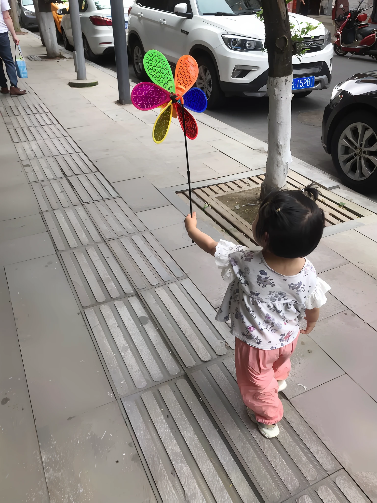 There was a small child walking on the sidewalk with a windmill, picking up a flower, proudly walking down the street, enjoying the wind, windy day, twirl, Have on the street, jinyiwei, windy weather, Have on the street, in city street, toddlers, In the street, spinning whirlwind, wind blown, in a city street, kiddy big breasts