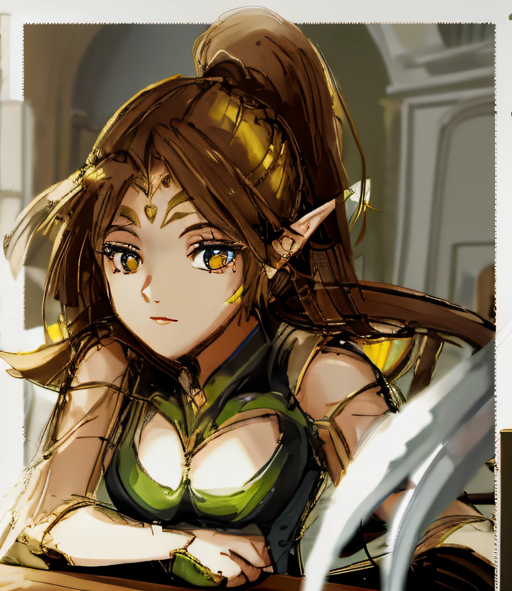 A beautiful elf with a brown ponytail in armor lying on the table，