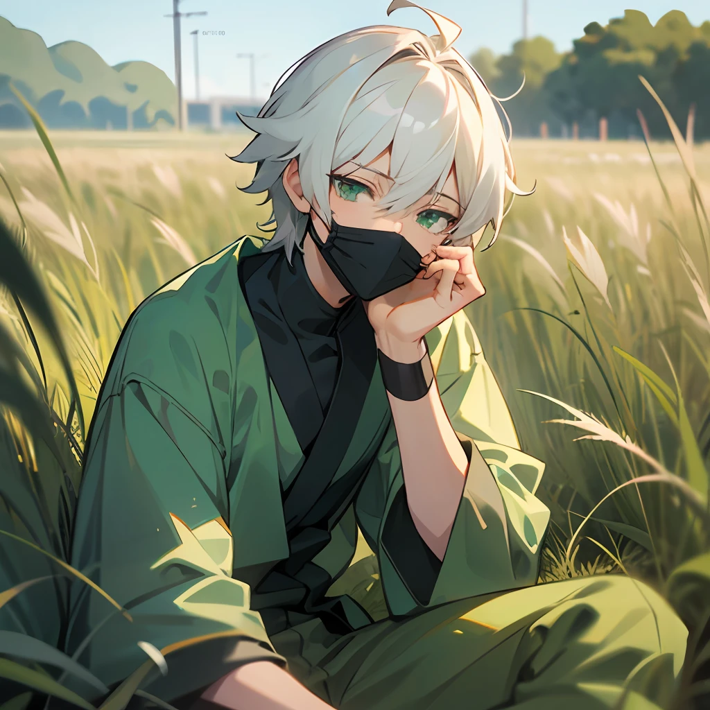 Anime man sitting on the grasses, open air, green light eyes , white hairs, sleepy boy, the man wears mouth mask, he looks bored ,there are green grasses --auto --s2