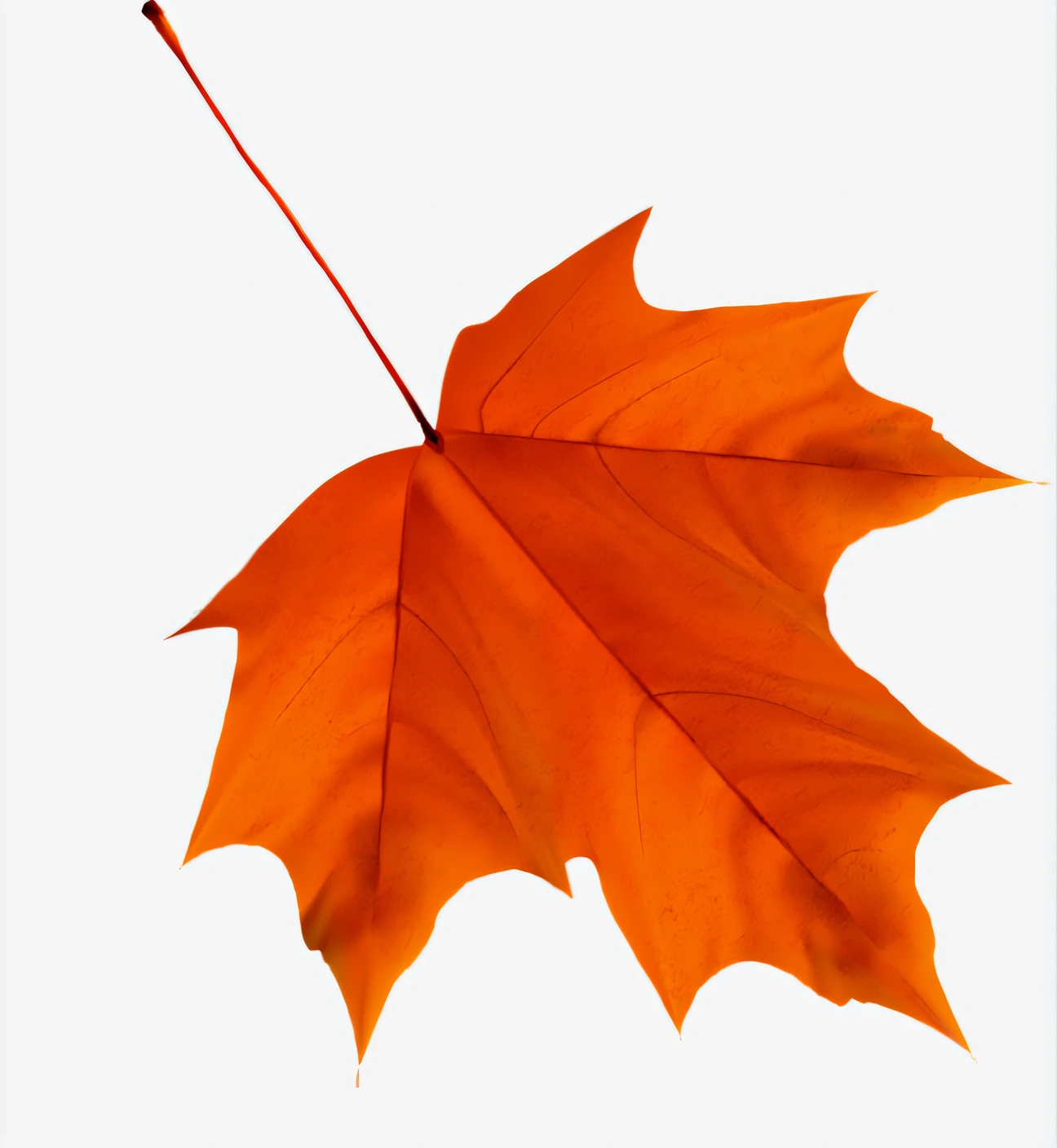 There is a leaf on a white surface, leafs, Canadian Maple Leaf, orange and brown leaves for hair, leaked image, highly detailed leaves, screengrab, hyper realisitc, Autumn leaves fall, isolated on a white background, high quality screenshot, A high resolution, hi - res, red and orange colored, wide screenshot, flying leaves on backround