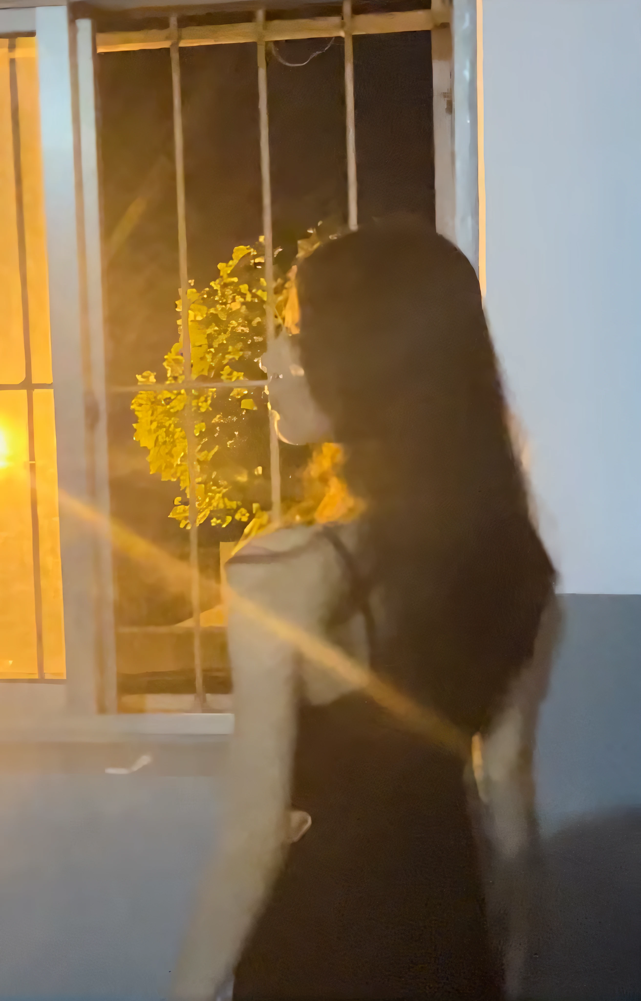 There was a woman standing in front of the window looking out, calm evening. over the shoulder shot, night time footage, with backlight, still from a music video, looks out the window, soft light from the window, The light from the back window is backlighted, with glowing lights at night, looks out the window, soft light from the side, looked at big window