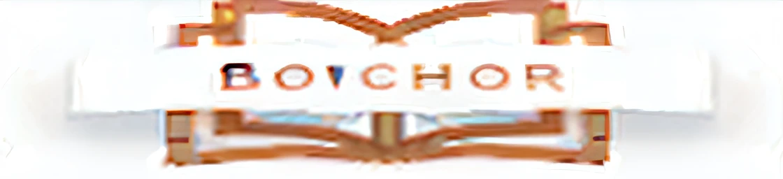 A close-up of a book，There is a logo on it, Boucheron, Boucheron style, logo, logo, Bernie Hogarth, with a large nose, bishounen, author, author：Dionisio Baixeras Verdaguer, Shin Jung-ho, high-quality photo, mohrbacher, avatar for website