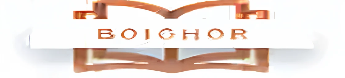 A close-up of a book,There is a logo on it, Boucheron, Boucheron style, logo, logo, Bernie Hogarth, with a large nose, bishounen, author, author:Dionisio Baixeras Verdaguer, Shin Jung-ho, high-quality photo, mohrbacher, avatar for website