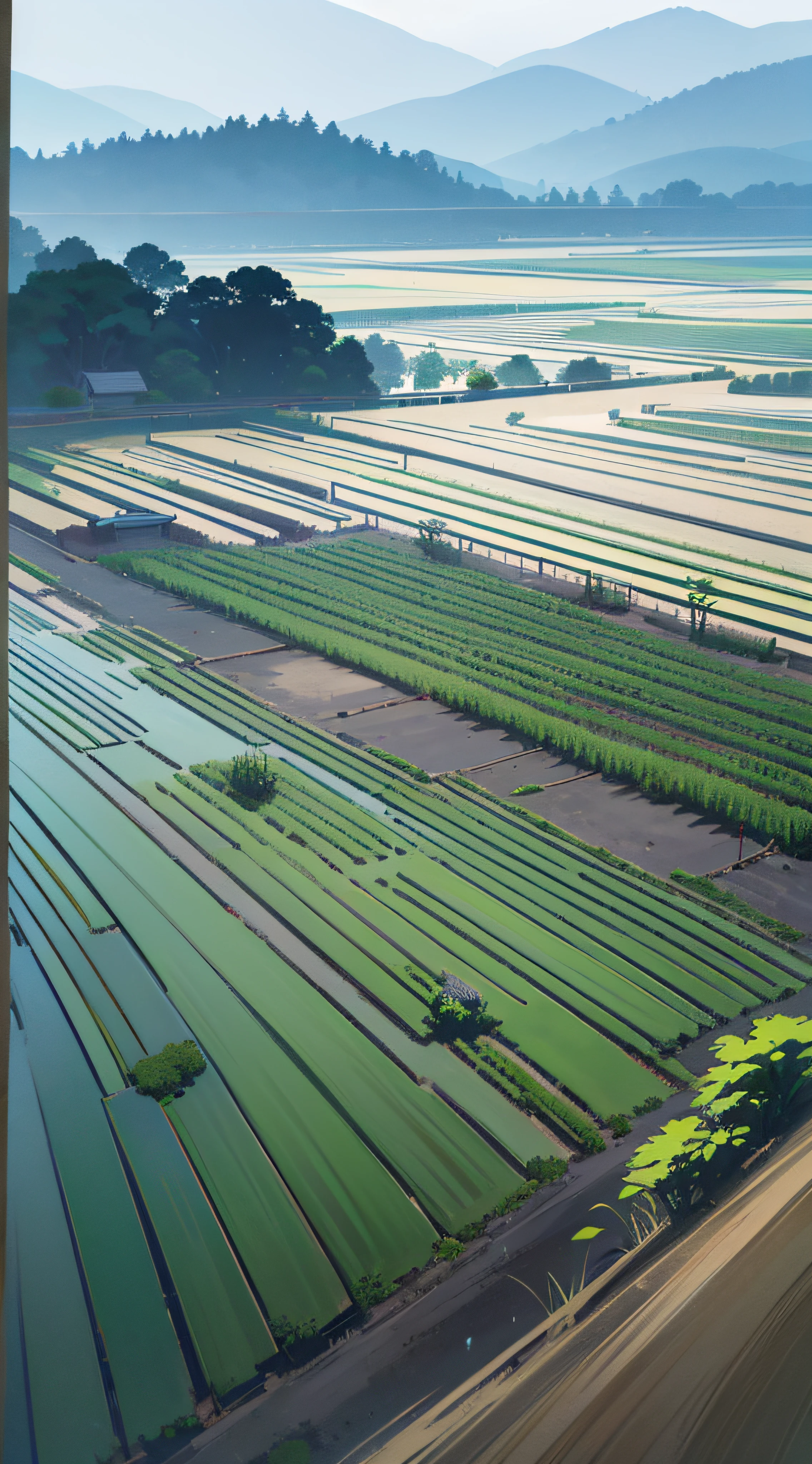 ultra wide-angle, Looking down from the summit, Wide tier々field, mountainscape, Lodge, With rice fields, rice fields, neat rice seedlings in the fields, Foggy rain, vila々, agriculture, In a tranquil landscape, Foggy weather, In the vast silence, Early in the morning, In the morning fog, Behind a small village, myst, Countryside of China, thatched roofs --v 6
