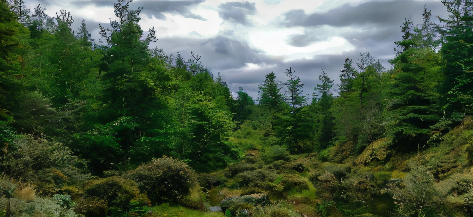 There was a man riding a horse through the forest on the trail, Irish Forest, Forest environment in Iceland, caledonian forest, Trees and pines everywhere, on a green hill between trees, Lots of trees, In the open forest, evergreen forest, pine woods, An ancient forest like a fan-shaped forest, hill with trees, forest outside, fir forest, in the middle of nature