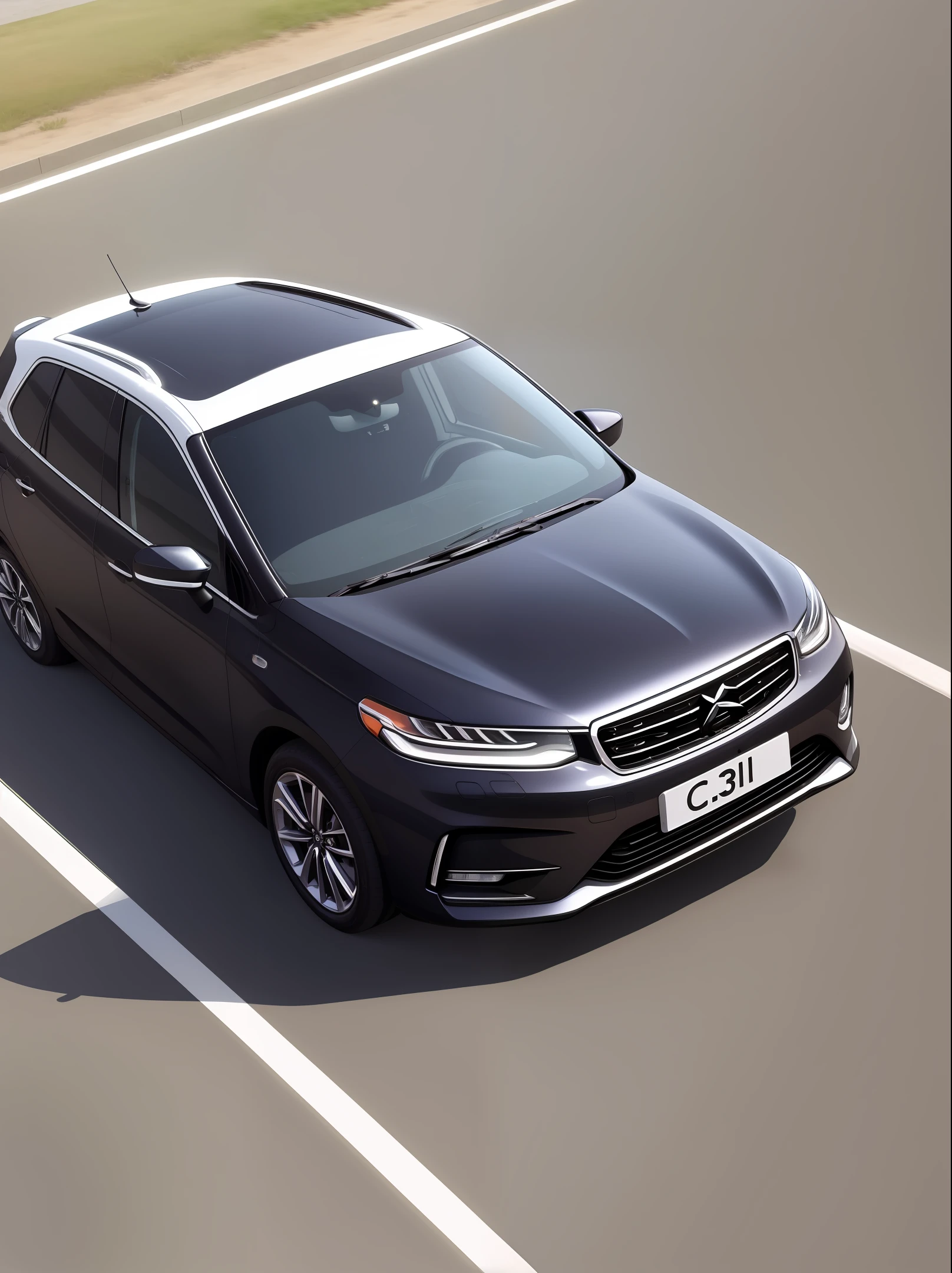 C 3 Picasso