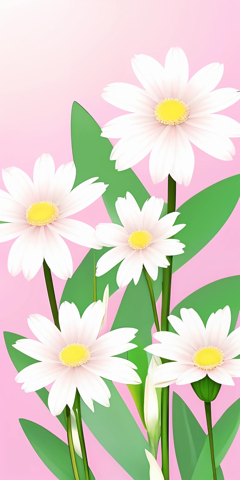 There are many white flowers，Pink center on pink background, Flower background, soft flowers, flowers in the background, florest background, Blooming flowers, flowers blooming, White flowers, beautiful  flowers, flowers and stems, detailed flowers, Daisies, Pink flowers, flower, spring flowers, flowers and blossoms, floral environment, Beautiful flowers, flowers and foliage, stylized flowers