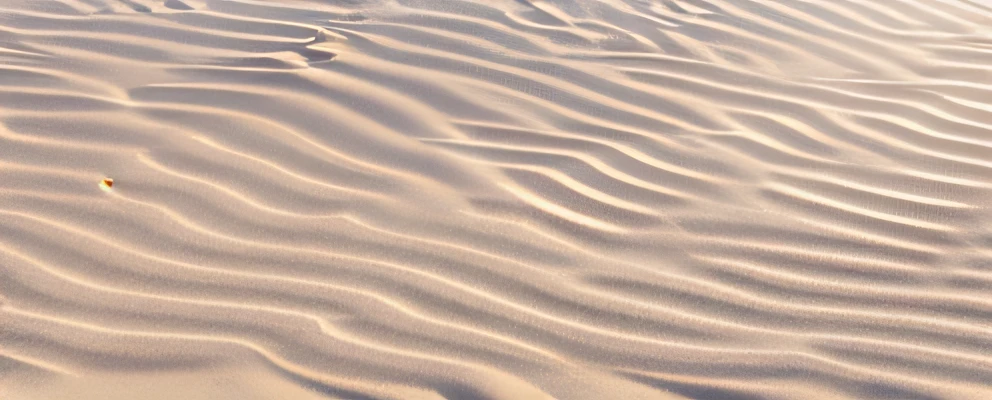 Arafs walking on the beach,Surfboards on the beach, Sandy, deserted sand, sand color, sand swirling, extremely detailed sand, sand color, The texture of sand, Sand, sand dune, sand sea, beach sand background, sand desert, White sand, sand banks, background sand dunes, sand dune, sand color