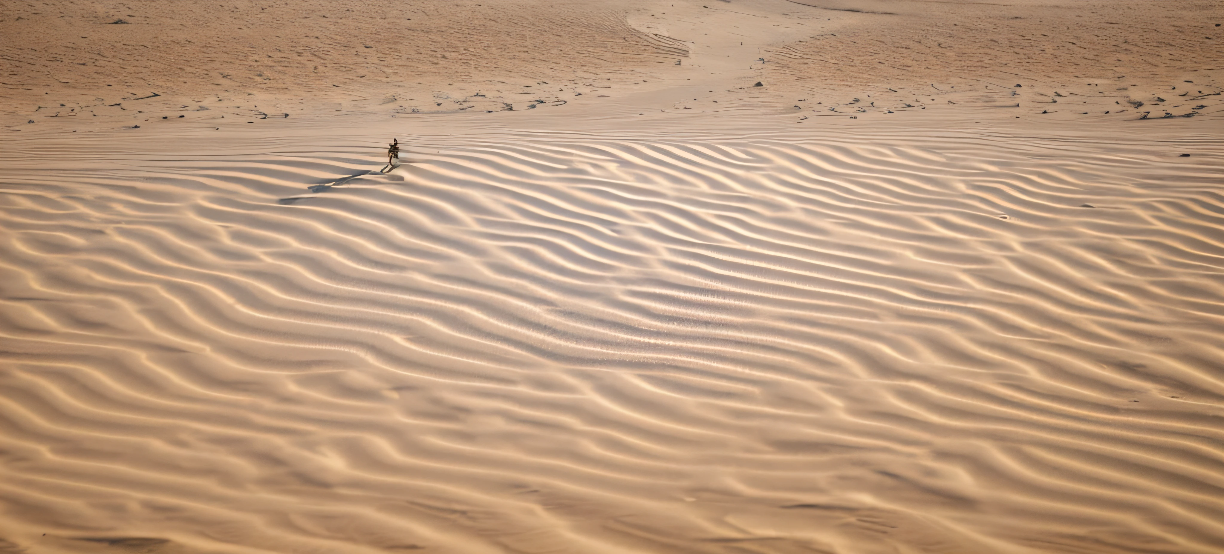 Alatei takes a lone bird through the sandy desert, deserted sand, Ripples, sand swirling, sand desert, somewhere in sands of the desert, sand color, desert photography, rippling, swirly ripples, majestic dunes, sand sea, sand dune, Sands of Time, sand dune, harmony of desert, in a serene vast desert