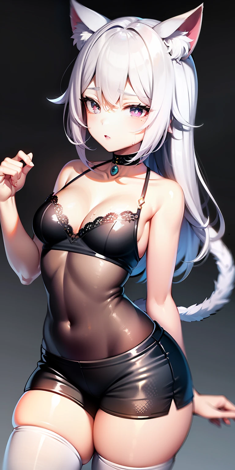 Libido boy,Male lady,silber hair,cat ear,Cat tail,cropped shoulders,Ultra shorts,bralette,Lovely face,Vivid expressions,Moist eyes,Slender body,Young,mtu,The crotch is raised,white stockings,Libido boy